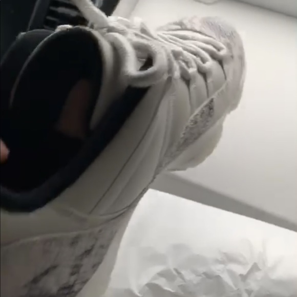 Air Jordan 11’s “SNAKESKIN” - Picture 4 of 5